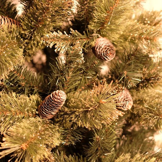 Árvore de Natal Cannes Slim com Glitter 150cm (Árvores de Natal) - Festas  da 25