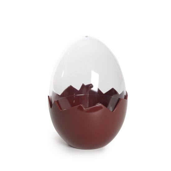 Ovos Incolor e Marrom Tamanho G (Embalagens Transparentes)