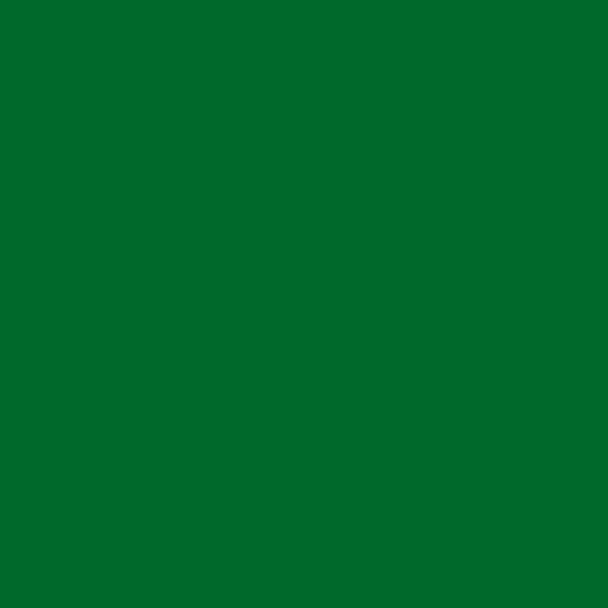 placa-eva-liso-40x48-verde-escuro-10-un
