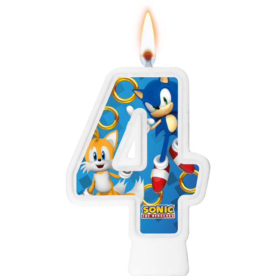 Fantasia Infantil De Luxo Sonic Completa 4 Itens