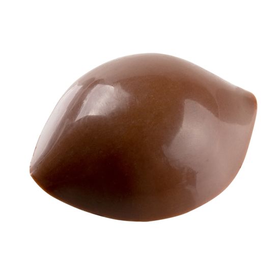 Forma-para-Chocolate-Limao-275X135X25