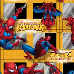 Saco-15X22-Spider-Man-City---100-Un