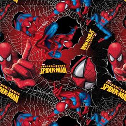 Saco-15X22-Spider-Man-Web---40-Un