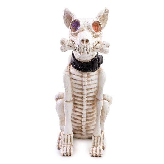 Cachorro Decorativo Esqueleto - Cromus - 1Un