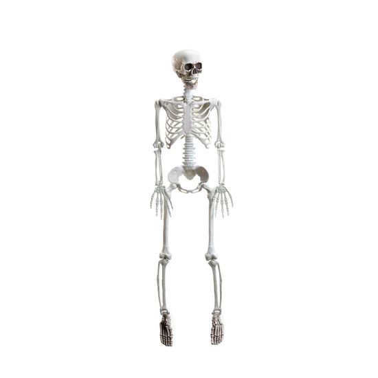 Esqueleto Articulado Xavier Halloween - Cromus