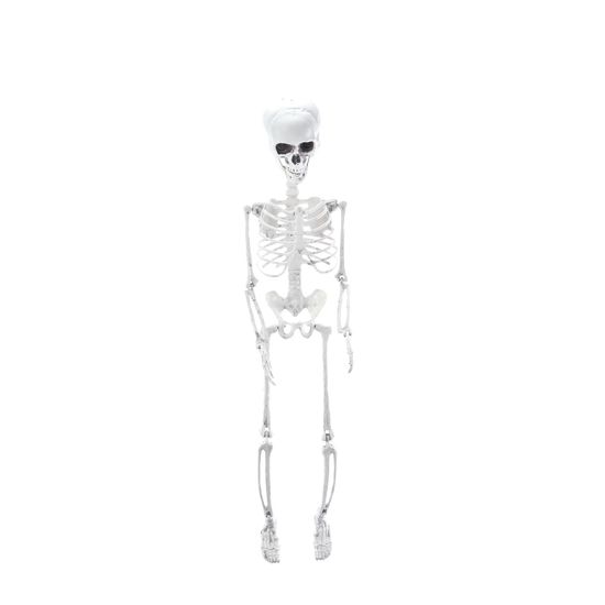 Esqueleto Articulado Charlie Halloween - Cromus