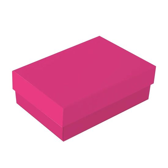 Caixa Retangular com Tampa Petit Pink Core M 19,5x14,5x6,5 - 10 Un